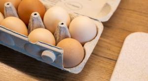 ביצים מחוץ למקרר צילום: tomeqs,Shutterstock אוכל