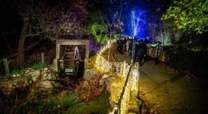 הגן הבוטני צילום: Yonatan Sindel,Flash90 יחסים
