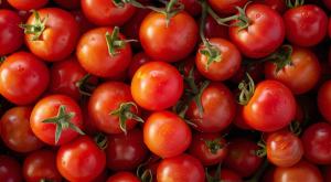 עגבניות צילום: shutterstock אוכל