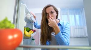 ריח רע במקרר, אילוסטרציה צילום: goffkein.pro,Shutterstock לייף סטייל