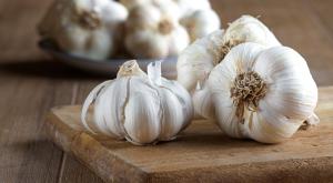 שום צילום: Jana Kollarova,Shutterstock אוכל