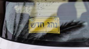 נהג חדש צילום: shutterstock הורים וילדים
