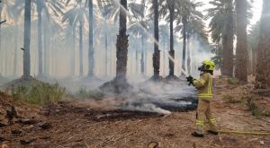 השריפה שפרצה אמש צילום: דוברות כבאות והצלה לישראל  חדשות