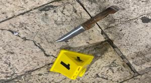 הסכין איתה בוצע הפיגוע צילום: דוברות המשטרה  חדשות
