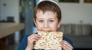 אז מי מחביא אצליכם? צילום: Roman Yanushevsky,Shutterstock חדשות