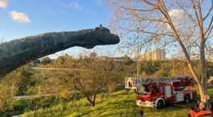 הדינוזאור הענק צילום: דוברות כבאות והצלה לישראל חדשות