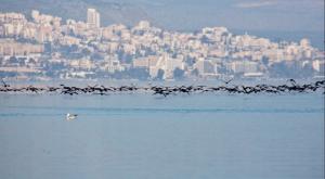 הכנרת, ארכיון | צילום: Moshe Shai,FLASH 90 חדשות