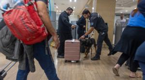 נתב"ג | אילוסטרציה צילום: Yossi Aloni,FLASH 90 פלילים