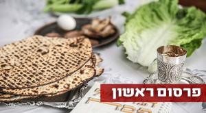  צילום: shutterstock חדשות