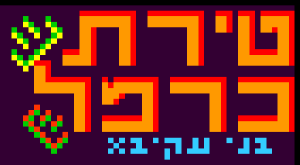 דוגמה לכיפה שונות
