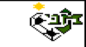 דוגמה לכיפה שונות