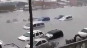 ממפגעי הסופה צילום: צילום מסך מיוטיוב חדשות