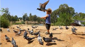 קקל צילום: ארכיון התמונות של קקל הורים וילדים