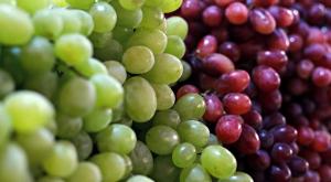 ענבים צילום: shutterstock אוכל