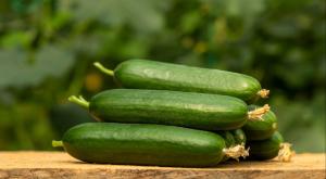כך תשמרו על המלפפונים טריים צילום: sadecestock,Shutterstock אוכל