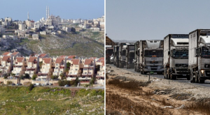 סוכלה הברחת ענק, צילום: Tsafrir Abayov,Flash90 | שאטרסטוק חדשות