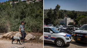 זירת החיפושים, צילום: חיים גולדברג/פלאש 90 חדשות