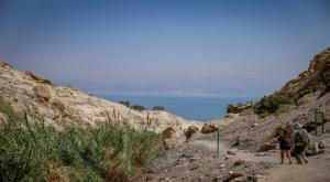 נחל דוד, הכניסה תפתח מחדש צילום: Chaim Goldberg,Chaim Goldberg חדשות
