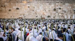 תיפלה בבוקר הושענא רבה, ארכיון צילום: Chaim Goldberg,Chaim Goldberg סוכות