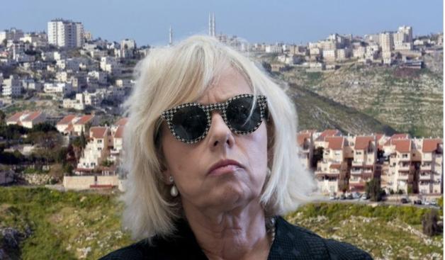 היועמ"שית ומעלה אדומים צילום: פלאש90 וקנבה חדשות