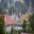 חצבים בגשם צילום: Ayal Margolin,Copyright (c) Flash 90 2026 טיולים