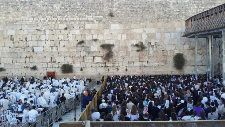 "נשות הכותל" ביקשו לגשת לרחבה - ונחסמו 
