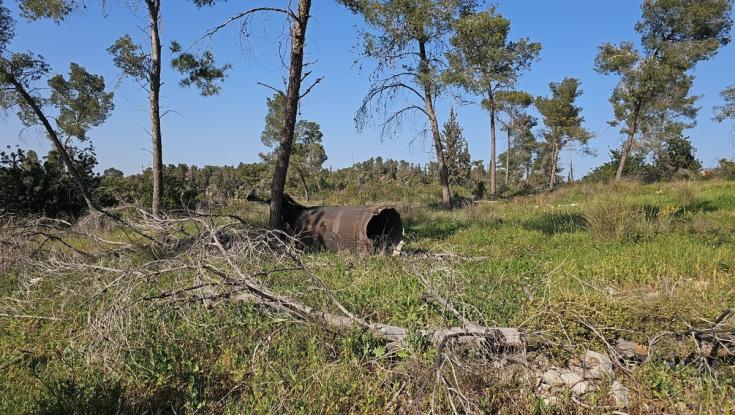 רגע לפני פסח: כל יערות קק"ל נסגרים מיידית עד הודעה חדשה
