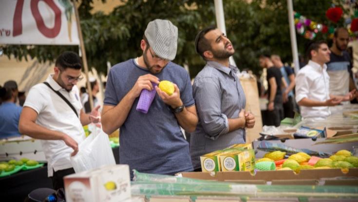 משרד החקלאות מזהיר: אסור להכניס ארבעת המינים לישראל