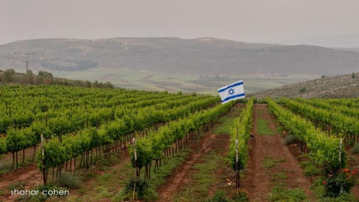 הטבע בבנימין מעולם לא היה מרהיב יותר, מסלולים חדשים ופריחת אביב מהממת