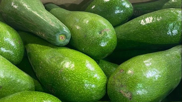 "משרד החקלאות מתריע: אל תקנו את האבוקדו הזה עד סוף אוגוסט