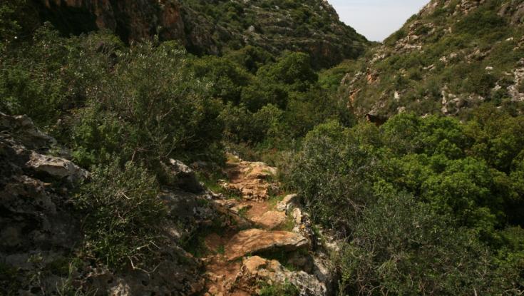 פרשת כי תישא: אליהו בהר הכרמל