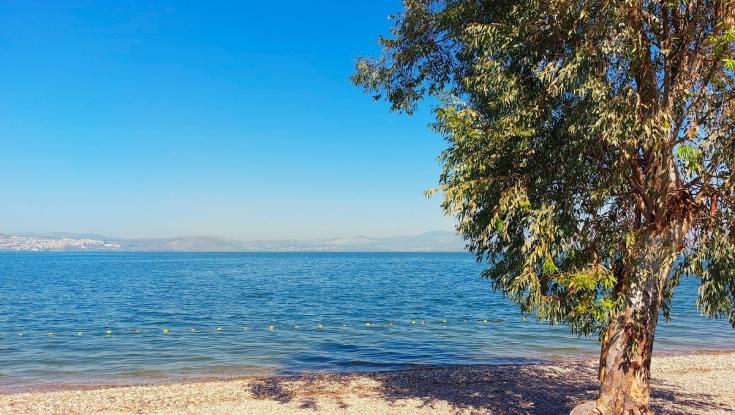 זהירות: מהיום תוכלו לקבל קנס כספי בחופי הכנרת