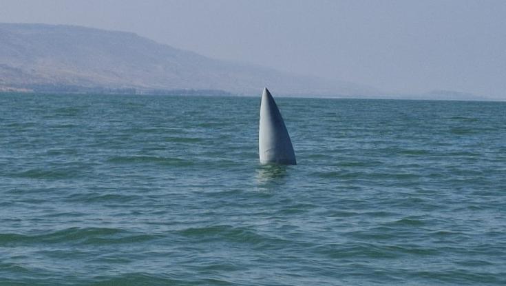 כמעט קטסטרופה בכינרת: הפקחים הגיעו לזירה וישר הזעיקו משטרה | תיעוד