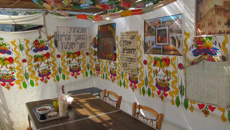 אם תשתמשו בטיפים האלה אין מצב שזבובים יטרידו אתכם בסוכה