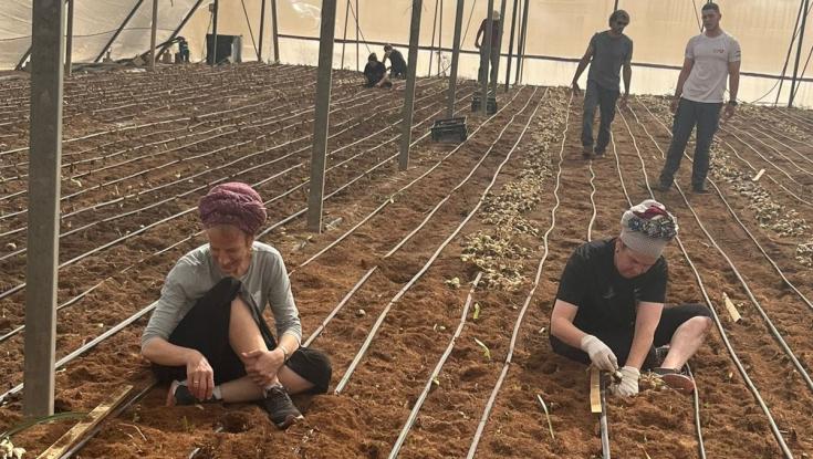 העיתונאית השכולה יצאה להתנדב בחקלאות: "מסתכלת מהצד ודומעת"
