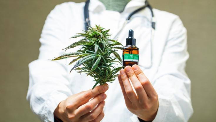 המדריך למתחילים בשמן CBD: כל מה שרציתם לדעת