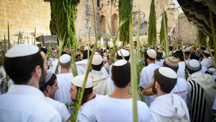 מתפללי הכותל גילו באמצע החג: הסוכה לא כשרה