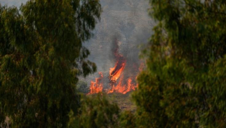 200 רקטות לצפון לאחר חיסול בכיר חיזבאללה - נתניהו מקיים הערכת מצב