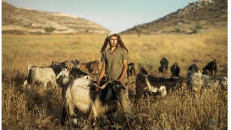 כך נחסמו 19,500 דונם של בנייה ערבית בבנימין
