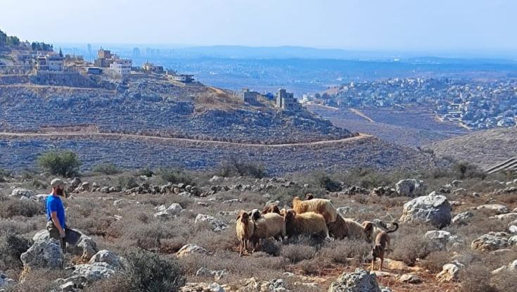 חנוכה בבנימין: "המטמון בחוות בנימין" משחק ניווט משפחתי לאורך כביש חוצה בנימין