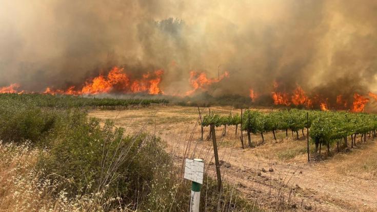 השירות המטאורולוגי מתריע: שיא השריפה עוד לפנינו