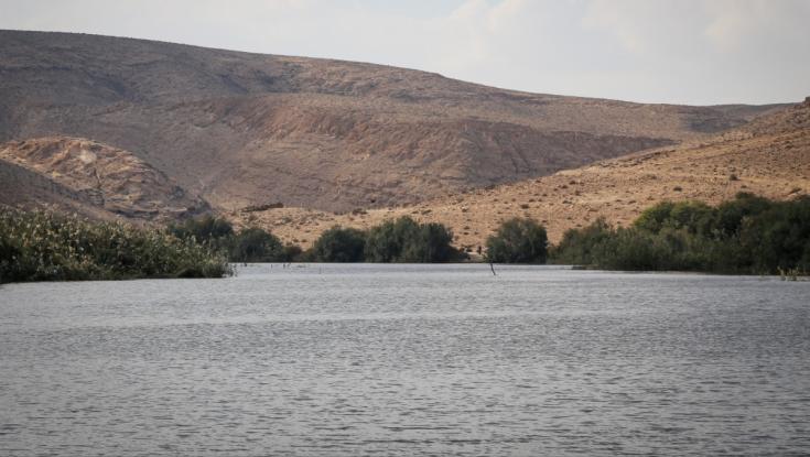מושלם לדייט או טיול משפחתי: 3 מסלולים קלילים במדבר שלא כדאי לפספס