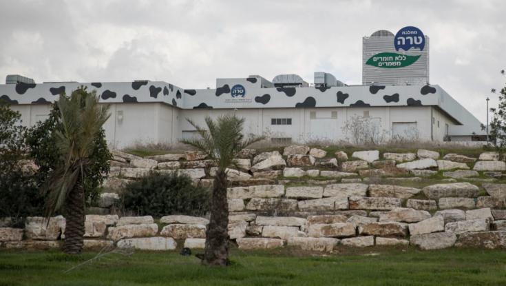 העובדים הופתעו: קיבלו משכורת נוספת מההנהלה - זאת הסיבה
