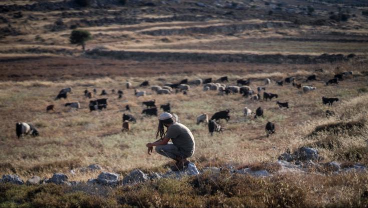 הסוף לסערת החווה בגליל: הנערים מהשומרון יפנו את השטח