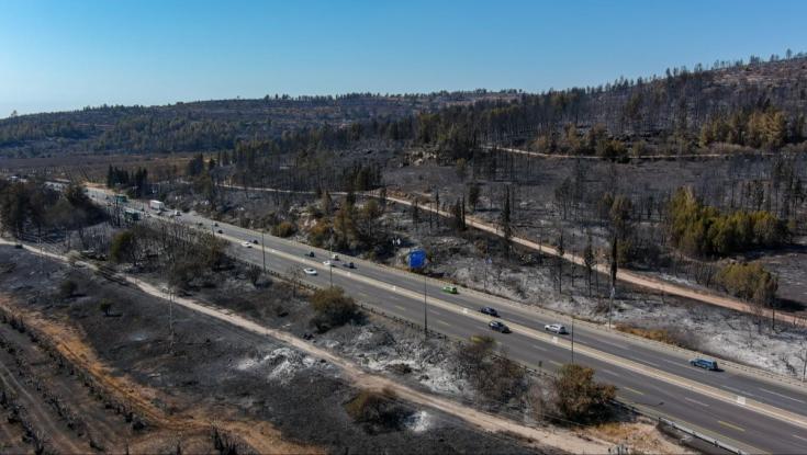התמונות מוכיחות: הקטסטרופה בהרי ירושלים הרבה יותר גדולה משחשבנו