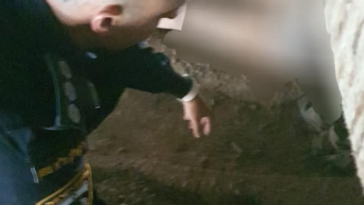 בלי אוכל, בלי מים, מתחת לגשר: הפרופסור מאיכילוב אותרה בחיים, מצבה קשה