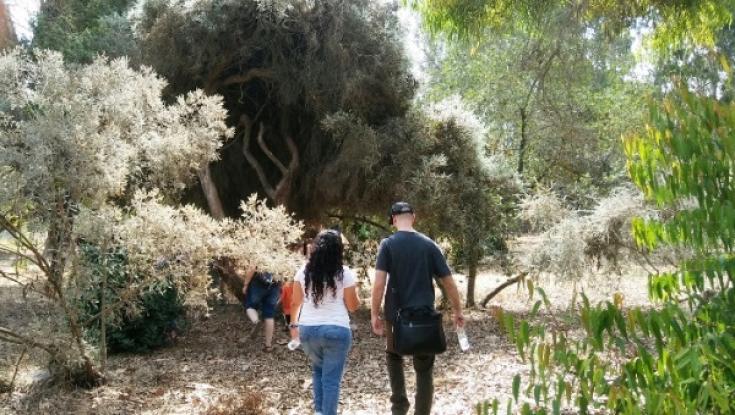 מחפשים עוד אטרקציות עד סוף הקיץ? מה דעתכם על רכיבה על אופניים עם משקפי מציאות מדומה