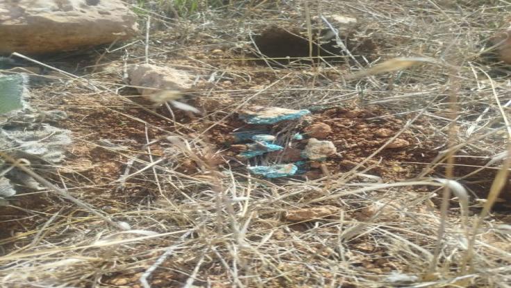 תופעה מדאיגה בבנימין: חשד להרעלה מכוונת של בעלי חיים ומקורות מים