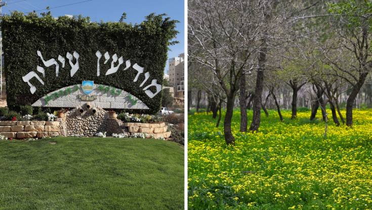 זעזוע במודיעין עילית: הציע לבת 12 "טרמפ" - ופגע בה ביער