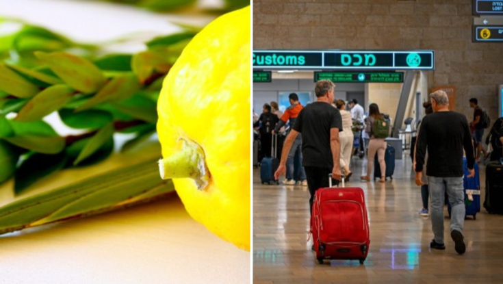אזהרה לחוזרים מחו"ל: זה מה שיקרה בנתב"ג אם תביאו ארבעת המינים